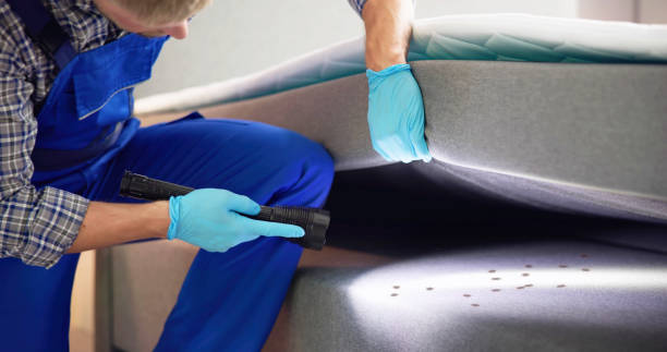 Best Cockroach Control Services  in Lockwood, MT