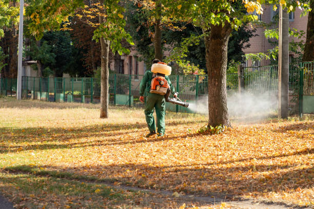 Best Pest Removal Services  in Lockwood, MT